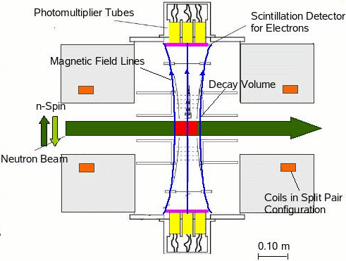 PERKEO II: Experimental setup